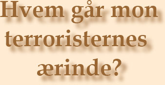 Hvem gr mon terroristernes rinde?