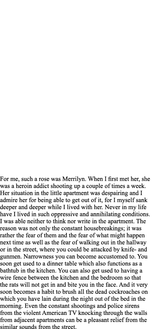 For me, such a rose was Merrilyn  When I first met her, she was a heroin addict shooting up a couple of times a week    