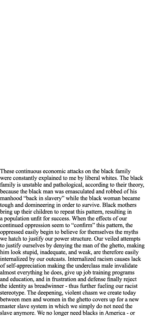 These continuous economic attacks on the black family were constantly explained to me by liberal whites  The black fa   