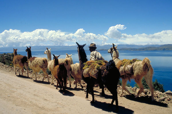 bolivia-0054