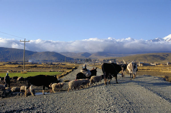 bolivia-0056
