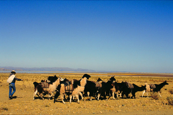 bolivia-0060