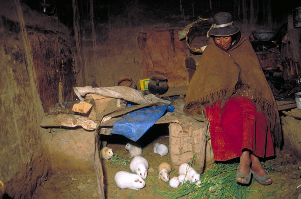 bolivia-0075