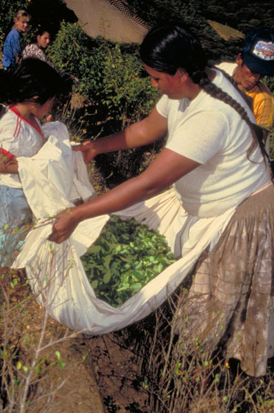 bolivia-0407