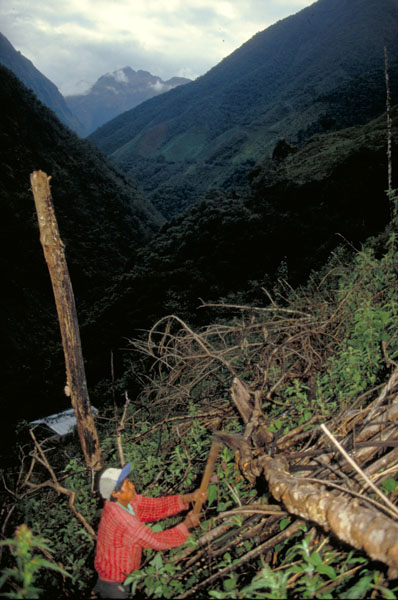 bolivia-0611