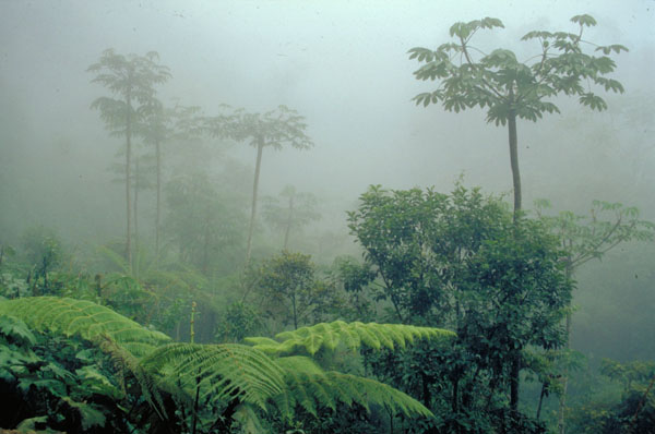 bolivia-0637