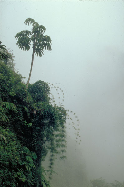 bolivia-0638