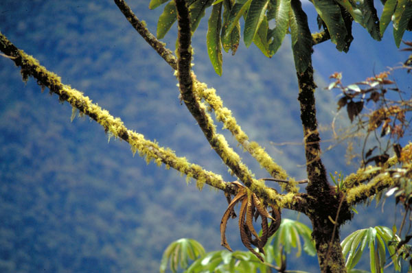 bolivia-0655