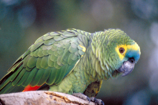 bolivia-0658