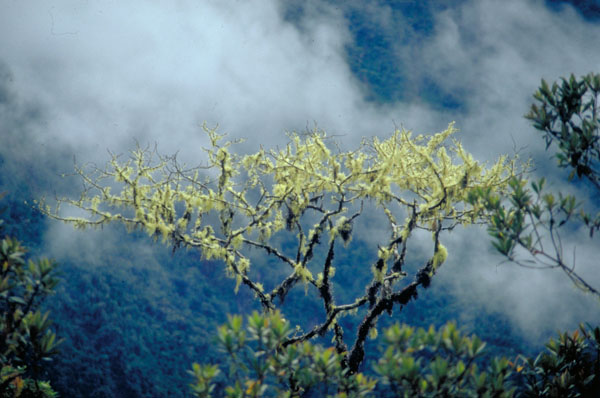 bolivia-0670