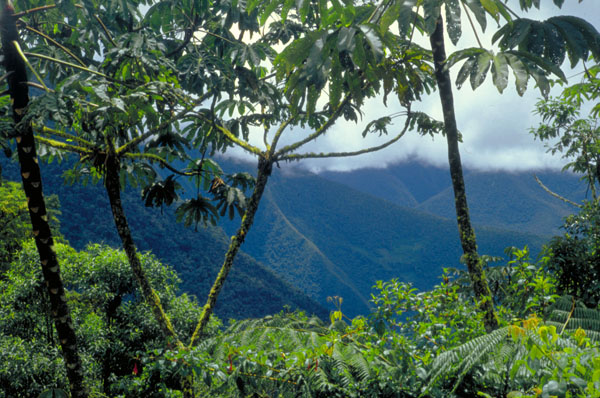 bolivia-0672