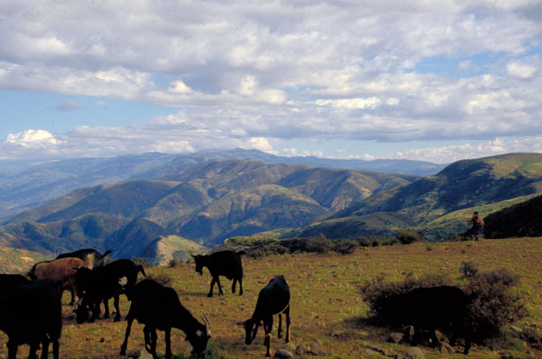 bolivia-0691