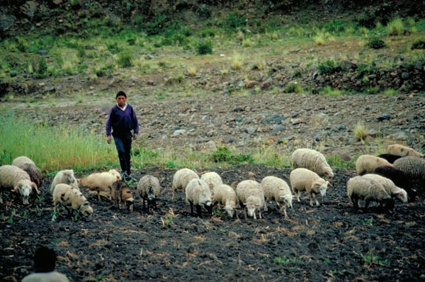 bolivia-0693