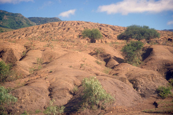 bolivia-0722