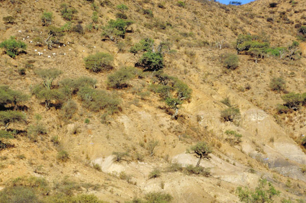 bolivia-0727