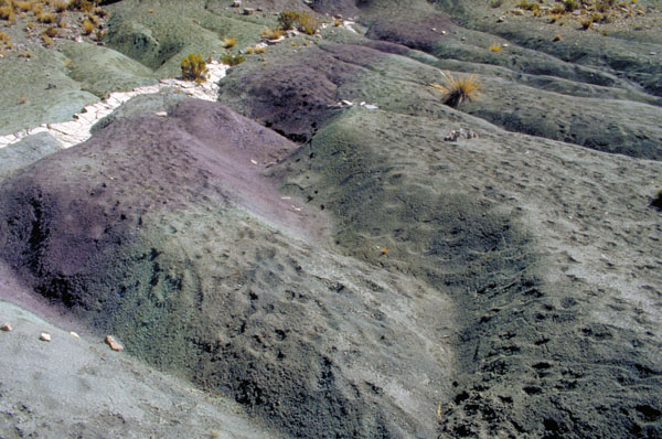 bolivia-0738