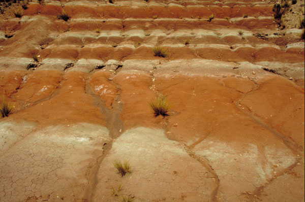 bolivia-0754