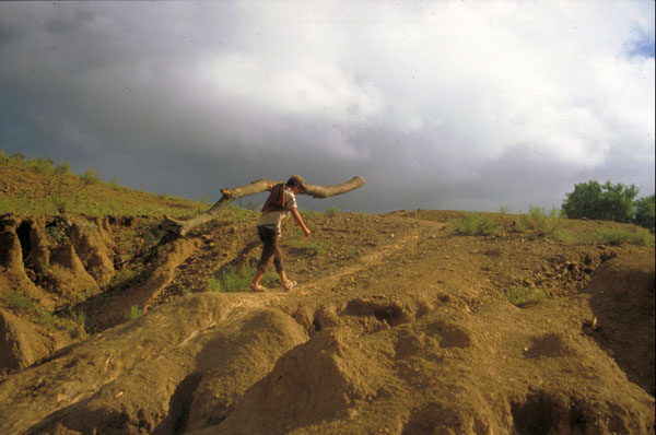 bolivia-0773