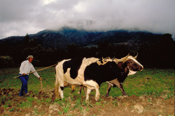 bolivia-0779