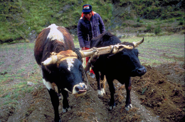 bolivia-0780