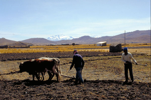 bolivia-0787