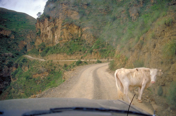 bolivia-0986