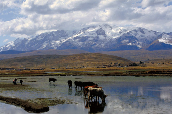 bolivia-1038