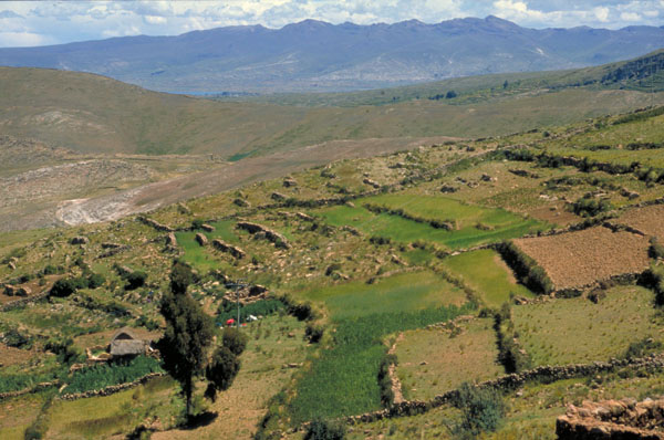 bolivia-1067