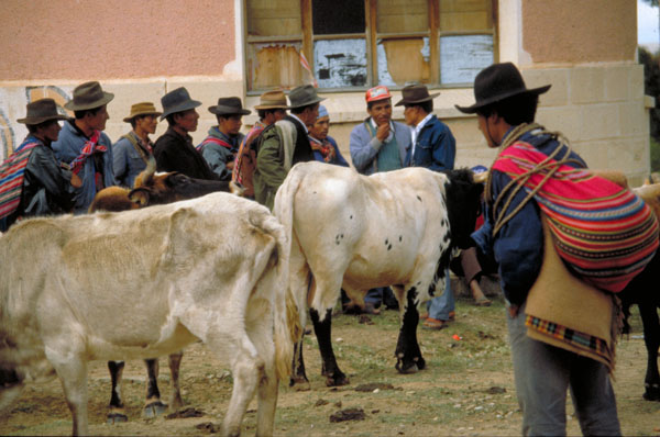 bolivia-1168