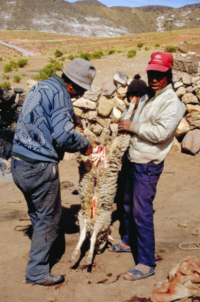 bolivia-1184