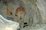 bolivia-0289
