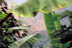 bolivia-0372