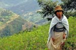 bolivia-0376