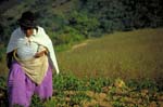 bolivia-0377