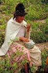 bolivia-0385