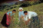 bolivia-0393