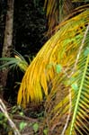 bolivia-0641
