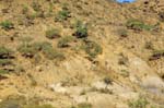 bolivia-0727