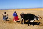 bolivia-0781