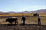 bolivia-0787