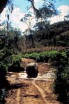 bolivia-0982