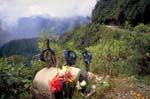 bolivia-1008