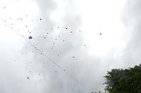 2012-06-17_12-02-03