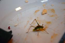 2015-09-05_22-37-34