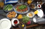 syria_251