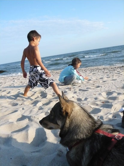 Marius Ibsen