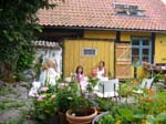 sunfotos2007 - 310