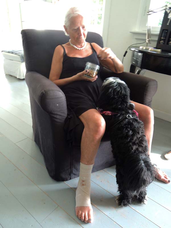 2017-08-15_17-20-05