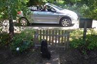 2014-07-25_12-37-42
