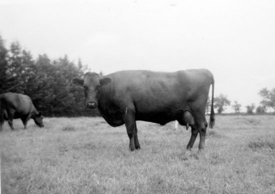 annelise-107